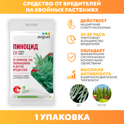 ������ ������ �������� �� ��������� ���������� �� ������� ��������� �������, Avgust 2 �� 1 �� ����