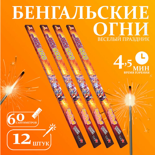 ������ ������ ����������� ���� 