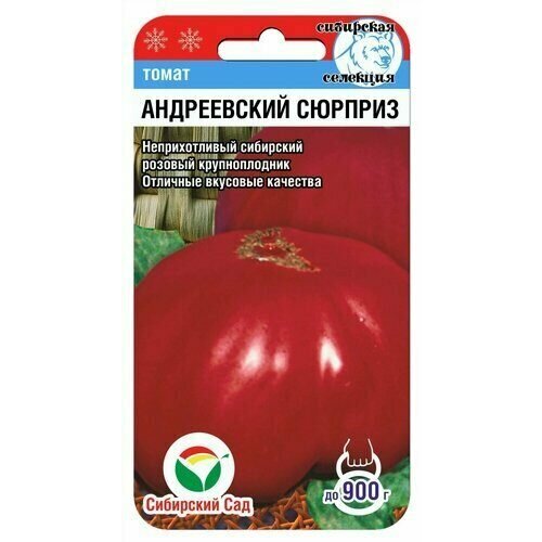 ������ ������ ������ ����� ����������� ������� 20�� ����� (��������� ���) ����