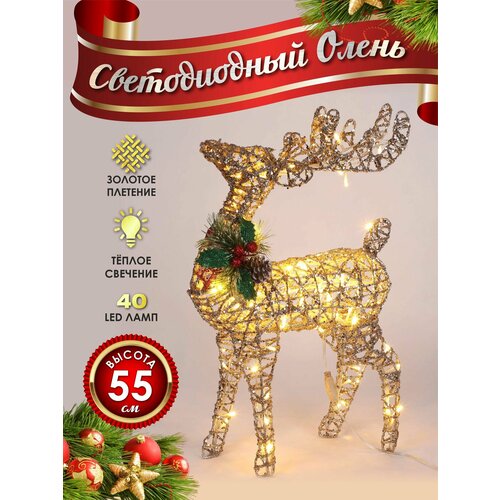 ������ ������ ����� ���������� ������������ ���������� 50 �� ������� ����