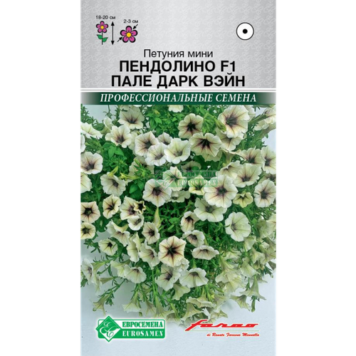 ������ ������ ������ ������� ���� �������������� 