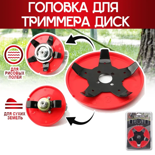 ������ ������ ������� ��� �������� ��������� ����� � �������� �������� 5 ����� ����