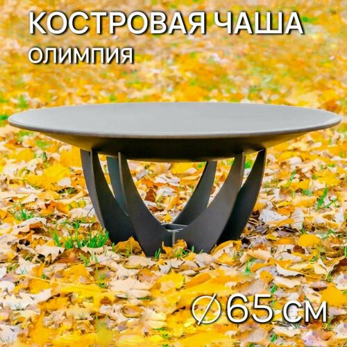 ������ ������ ��������� ���� ������� ������� 65 �� / ���� ��� ������ FIRE-HOUSE ����