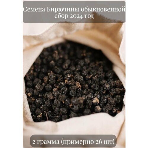 ������ ������ ������ �������� ������������, �������� ��� ����� ��������, 2 ������ (�������� 25 ��) ����