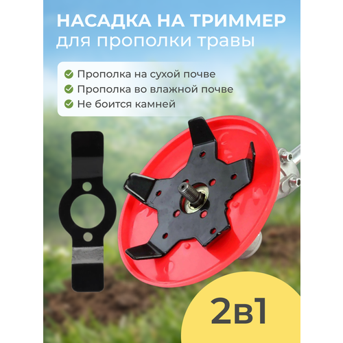 ������ ������ ������� ��� �������� ��� �������� ����� � �������� ����� 2�1 ����