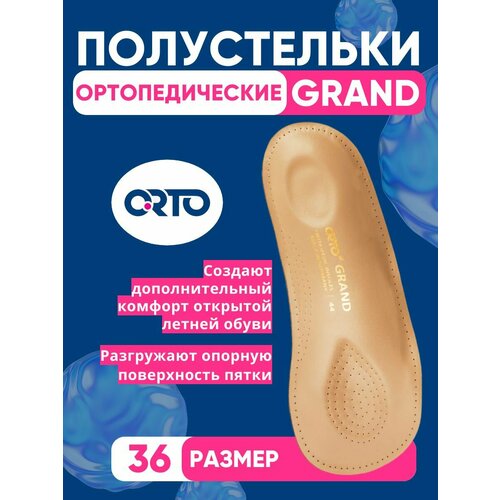 ������ ������ ����������� �������������� ORTO Grand �������, 36 ����