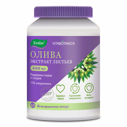 ������ ������ ������ ������������ �����, 60 ������, ������ ����