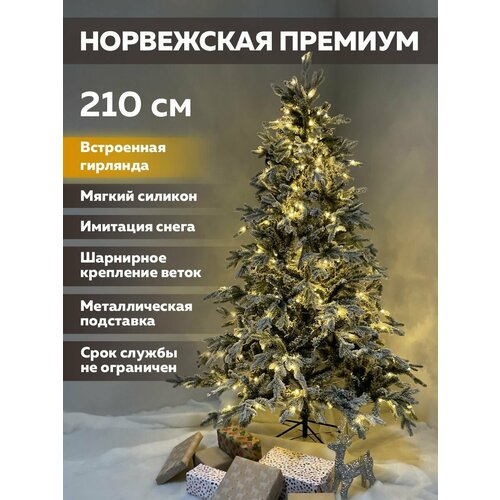 ������ ������ ���� ������������� �� ������ � ��������� ����