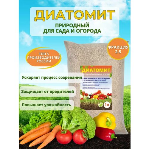 ������ ������ �������� ������� ��� �������� � ������ 1 ���� ����