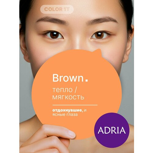 ������ ������ ������� ����� ADRIA Color 1 Tone, Brown, �����������, -1.50, 2 �� ����