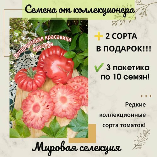 ������ ������ ����� ������������ ��������� �������, ������� ��������, ������ �� ������������� ����