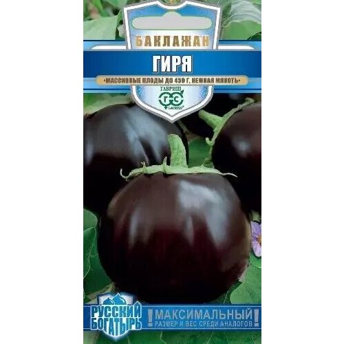 ������ ������ �������� ����, ������ ������ ������� �������� 0,1� ����