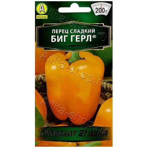 ������ ������ ����� ������� ��� ���� ����