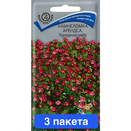 ������ ������ ����� ���������� ������� ��������� ����� 3 ������ ����