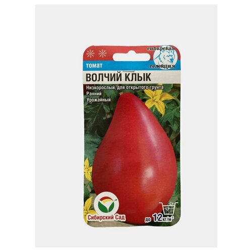 ������ ������ ����� ������ ���� ����