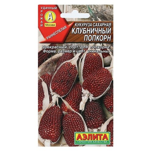 ������ ������ ������ ��������� ������ �������� �������� ���������� �������, 5 ��, 3 ��. ����