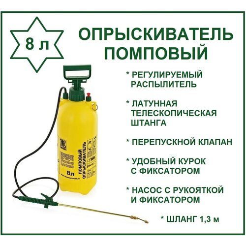 ������ ������ ������������� ������� �������� 8� 