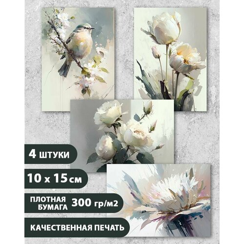 ������ ������ ����� �������� 