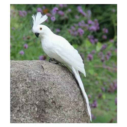 ������ ������ ������������ ����� ������� 25�� ����