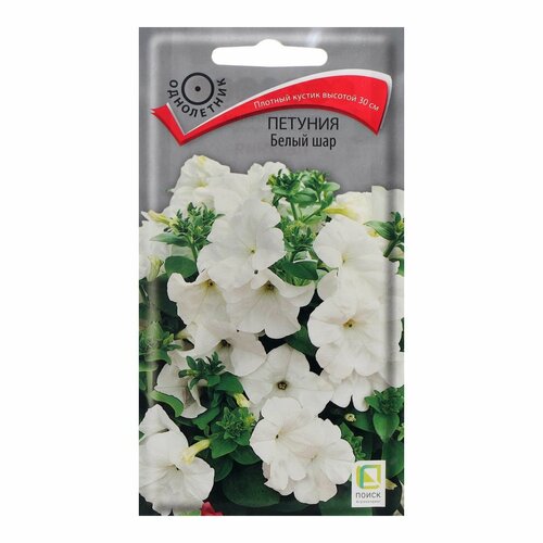 ������ ������ ������ ������ ������� 