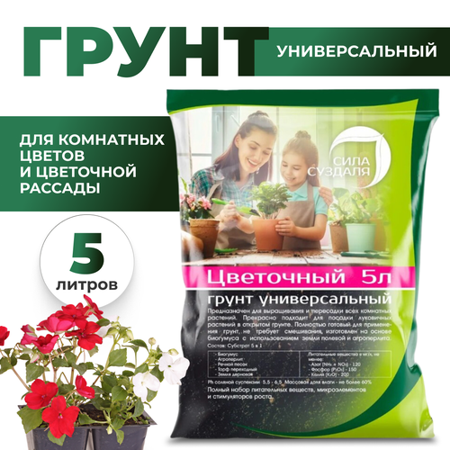 ������ ������ ����� ���� ������� ��������� ������������� black �������, 5 �, 2.5 �� ����