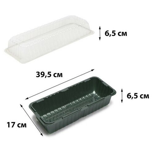 ������ ������ ����-������ ��� �������, 39.5 ? 17 ? 13 ��, ��� �������, ����-������, Greengo ����