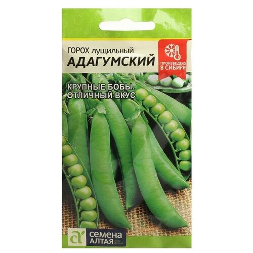 ������ ������ ������ ����� 