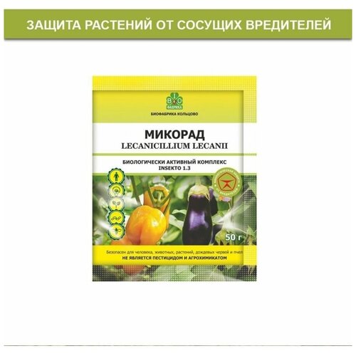 ������ ������ ������� ������� 1,3 50����� ����