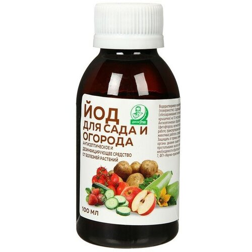 ������ ������ ��� ������� �� �������� ��������, 100 �� ����