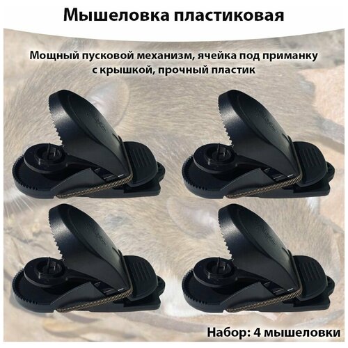 ������ ������ ��������� ����������� * 4 ����� ����