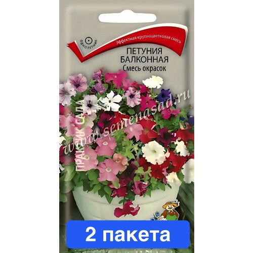 ������ ������ ����� ������� ��������� 2 ������ ����