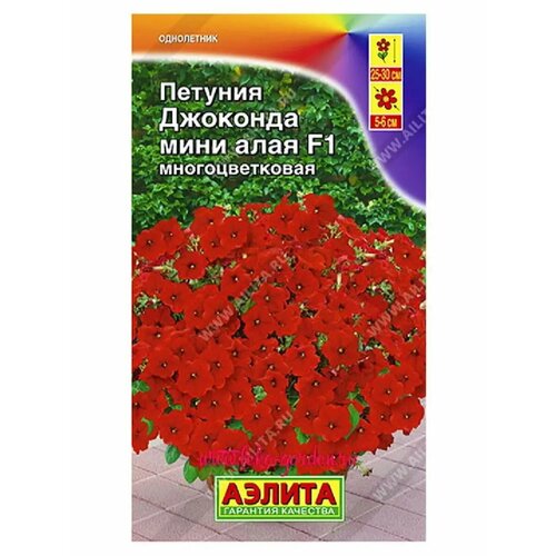 ������ ������ ������� 