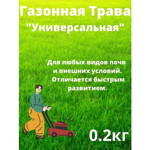 ������ ������ �������� ����� 