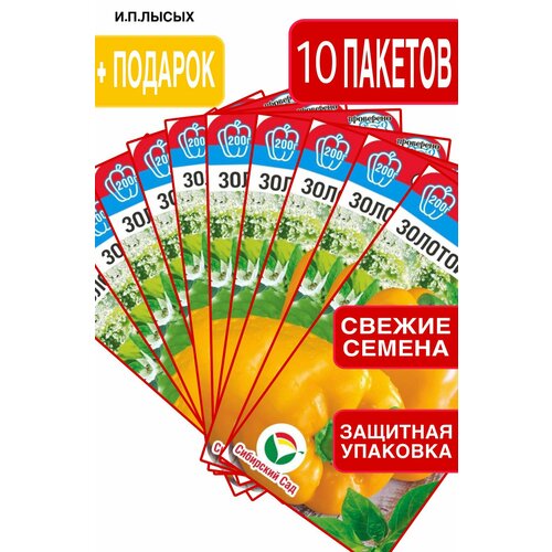 ������ ������ ������ ����� ������� ������� ����