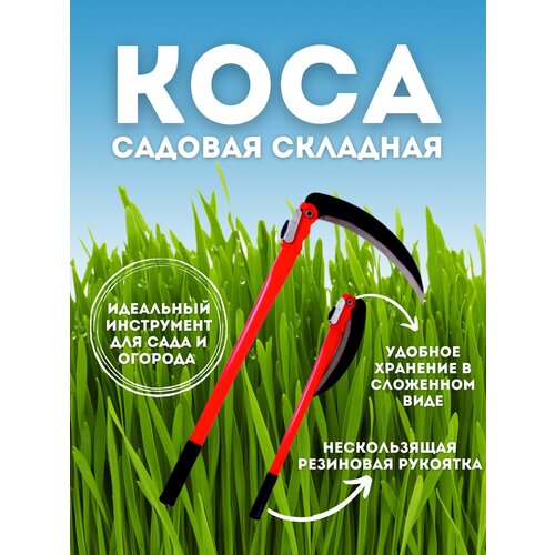 ������ ������ ���� ��� ����� �������� ����