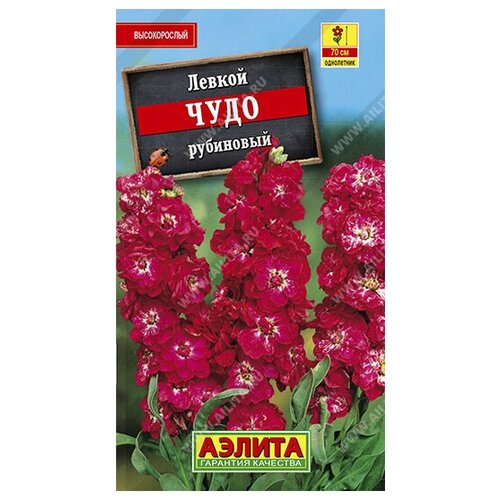 ������ ������ ������. ������ ������������ 