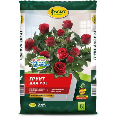 ������ ������ ����� ��� ��� ����� ��������� ������� 5� ����