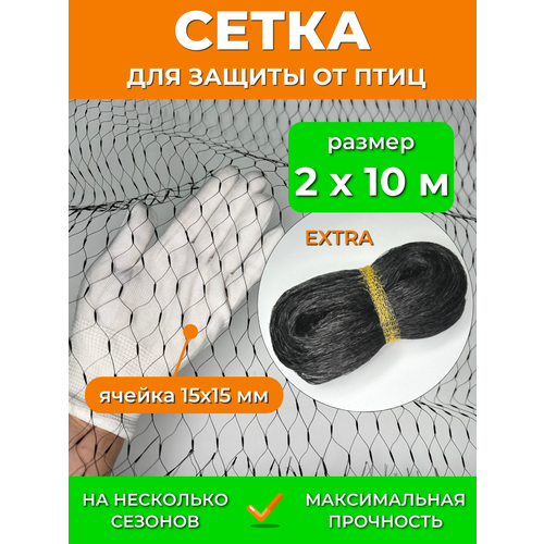 ������ ������ ������� ����� �� ���� 2�10 � EXTRA, ������ ������ 15�15 ��, ������������� 13 �/�2, ������ ������ ���� �������� ����� ������� �� ������� ����� ������ ����