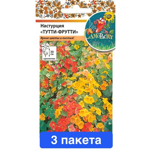 ������ ������ ��������� �����-������ �� ����� 3 ������ ����