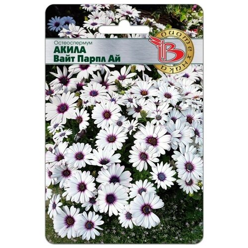 ������ ������ ������ ������������� 