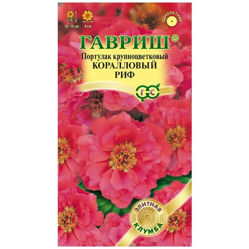 ������ ������ ������. �������� 