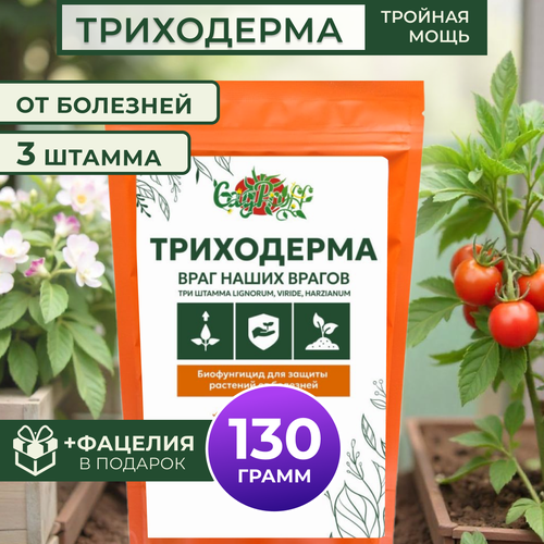 ������ ������ ���������� 3 ������, 130� ����