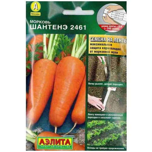 ������ ������ ������ ������� ������� 2461 �� ����� ( 1 �������� * 8� ) ����