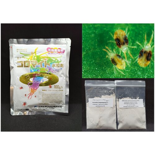 ������ ������ �������� �������� 5 � ������ (������ �������) ����