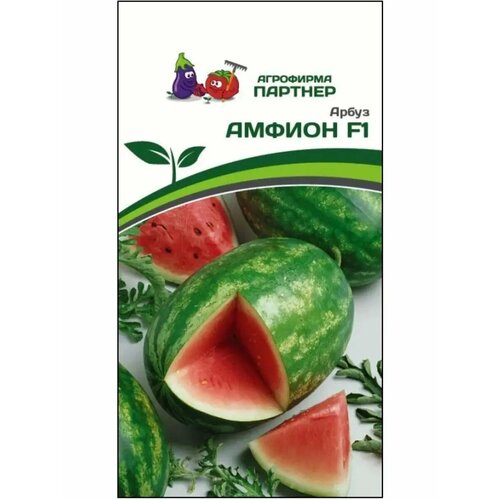 ������ ������ ������ ����� 