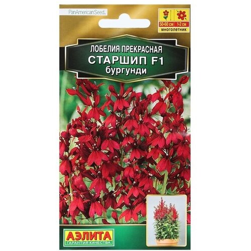 ������ ������ ������ ��������� ������ ������� ������� F1 ��������, �������� ����