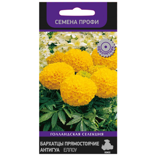 ������ ������ ������ ��������� ����� ����������� �������� ������������ ������� ����� 15 �� ����