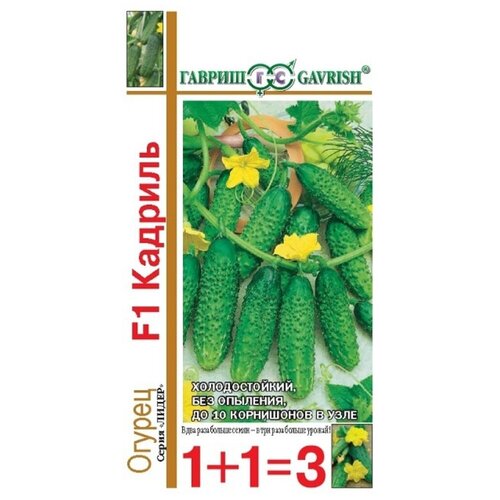 ������ ������ ������ ������� F1, 20 ��. ����