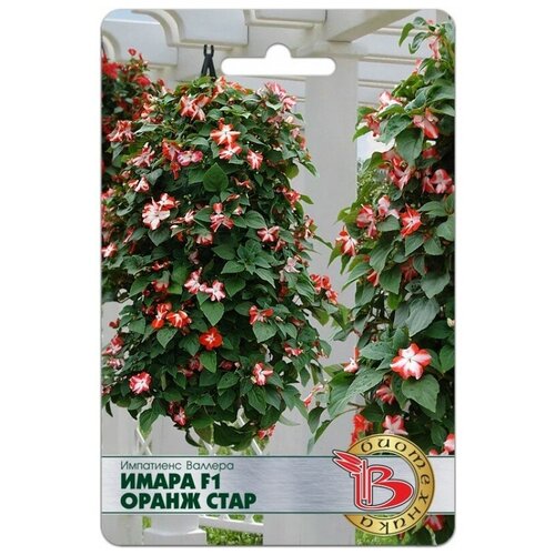 ������ ������ ������ ���������� ������� 