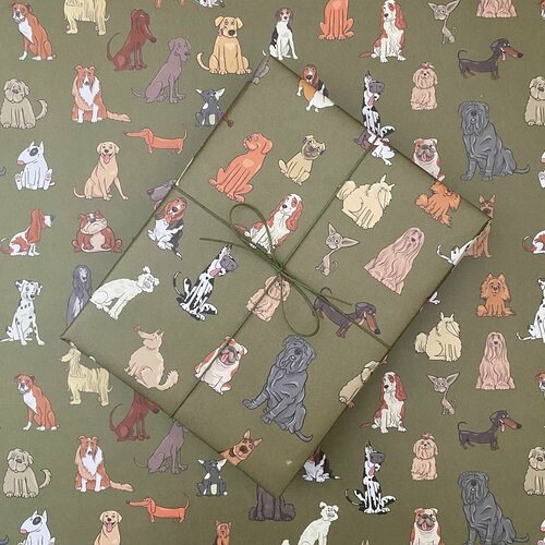 ������ ������ ������� ����������� ������ 